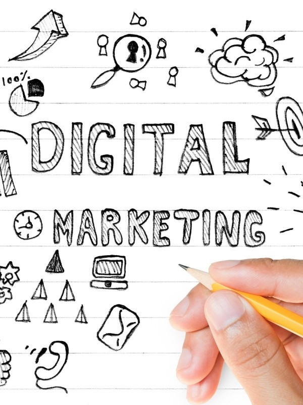 Digital Marketing Agency For Small Business Delhi